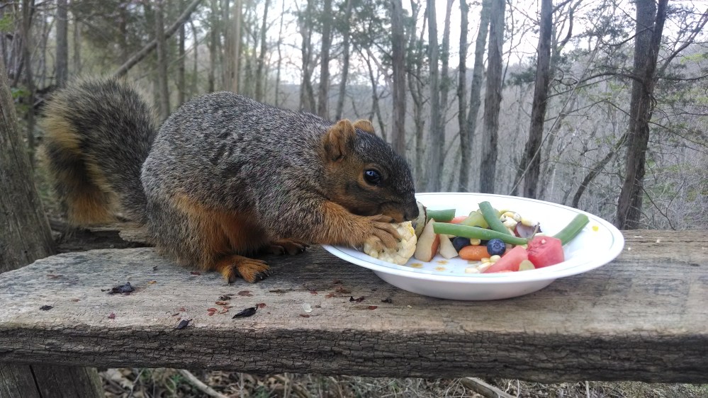 IMG_20140421_184007375